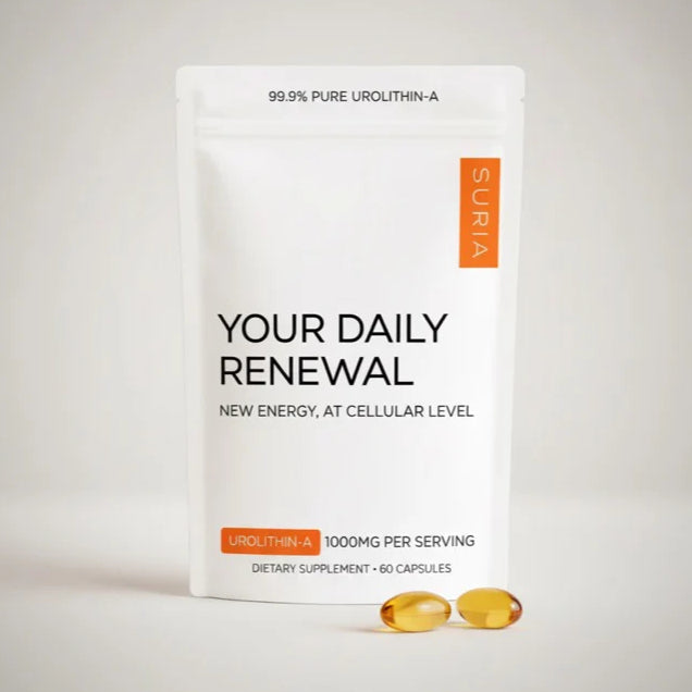 YOUR DAILY RENEWAL